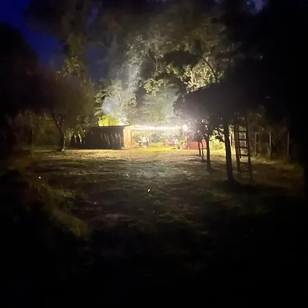 דירה Slow Spot Przy Lesie Ii שצ'צ'ינק